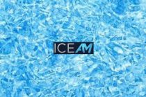 Ice AM. Обзор фонда