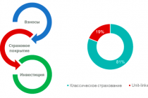 Инвестиционное страхование в России: детальный обзор